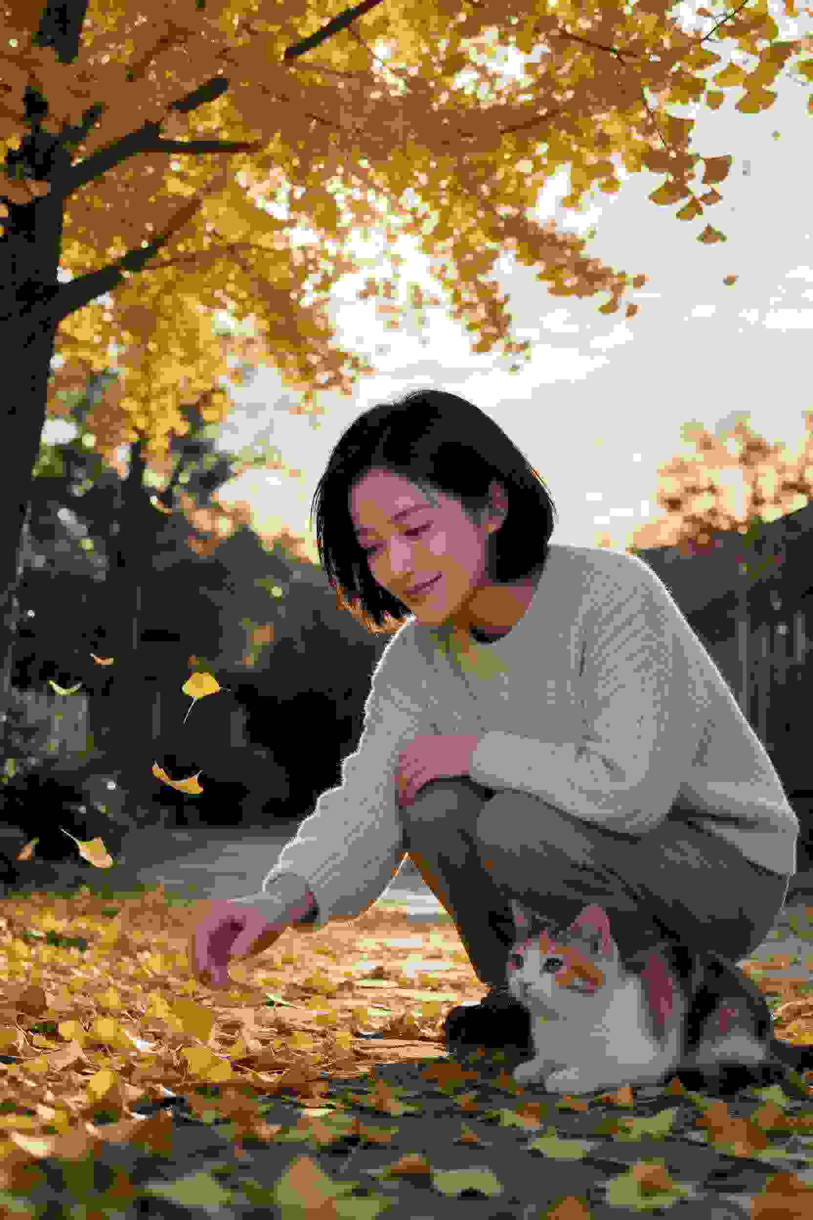 轻校物语